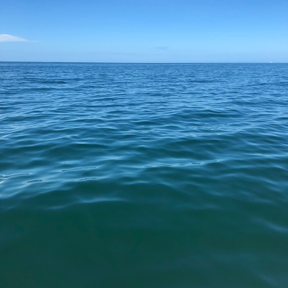 Meet your Posher, Hannah - Picture 1 of 1